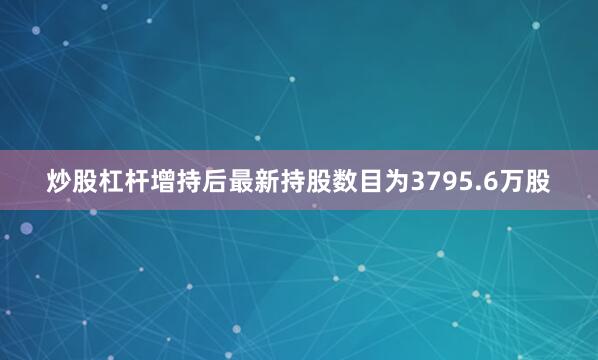 炒股杠杆增持后最新持股数目为3795.6万股